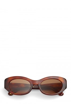 Brown Women's Ganni Ace & Tate Tiger's Eye Dakota Sunglasses | 83AIQTVRY