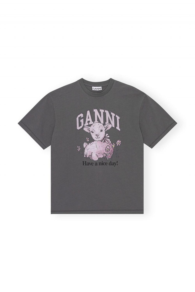 Grey Women's Ganni Future Grey Relaxed Lamb T-Shirt | 60IJOPNZT