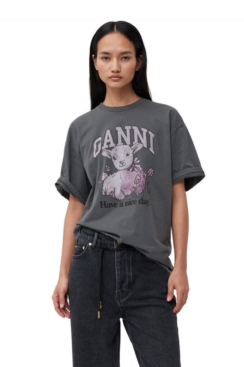 Grey Women\'s Ganni Future Grey Relaxed Lamb T-Shirt | 60IJOPNZT